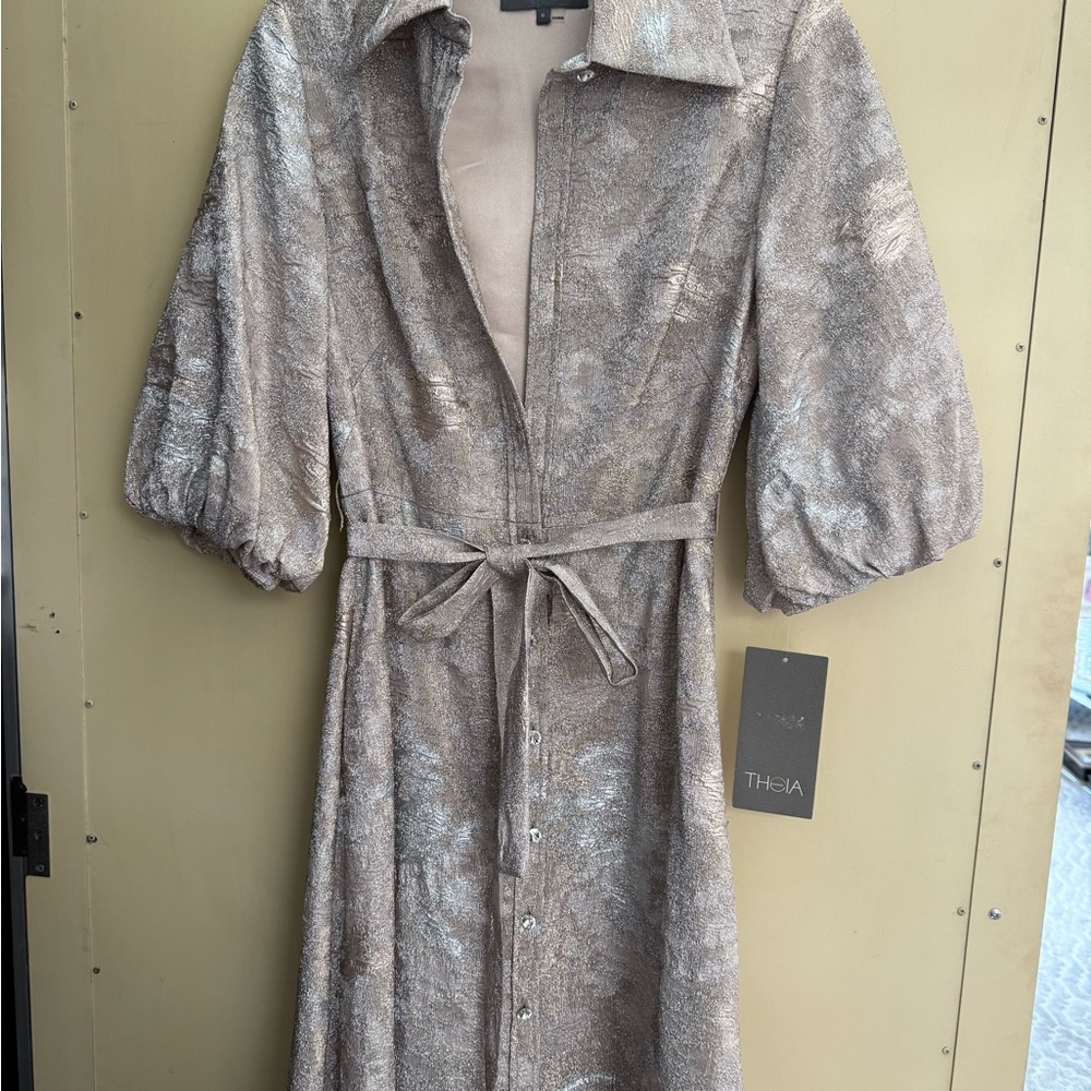Theia Long Sleeve Dress in Metallic Gold and Silver